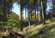 Dobogókő - Thirring-körút