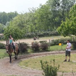 Hasik Hotel Döbrönte - 