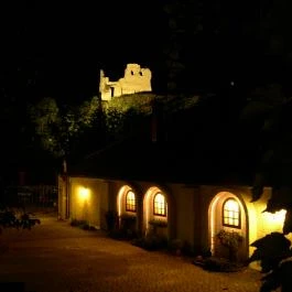 Hasik Hotel Döbrönte - Medence/kert