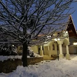 Hasik Hotel Döbrönte - Külső kép