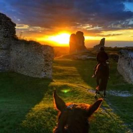 Hasik Hotel Döbrönte - 