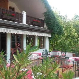 Hasik Hotel Döbrönte - Medence/kert