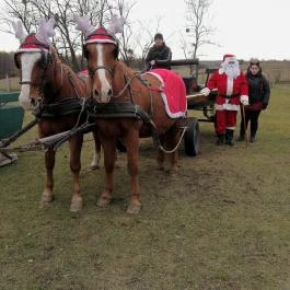 Hasik Hotel Döbrönte - 