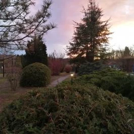 Hasik Hotel Döbrönte - Medence/kert