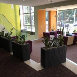 Hotel Európa Gunaras Dombóvár - Belső