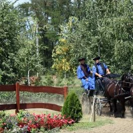 Lázár Lovaspark Domonyvölgy - Egyéb