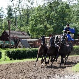 Lázár Lovaspark Domonyvölgy - Egyéb