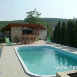 Fáradt Vándor Vendégház Domonyvölgy - Medence/kert