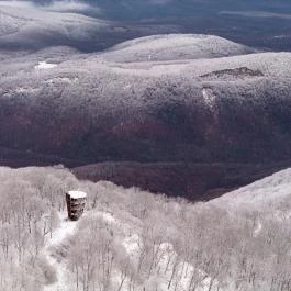 Prédikálószéki-kilátó Dömös - Egyéb