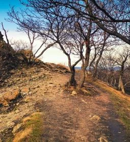 222. legjobb látnivaló: Vadálló-kövek