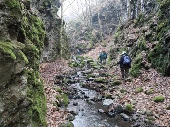 Tarjánka-szurdok Domoszló