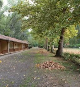 Sára Major Lovas Panzió 