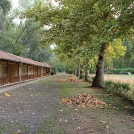 Sára Major Lovas Panzió Dömsöd - Külső kép