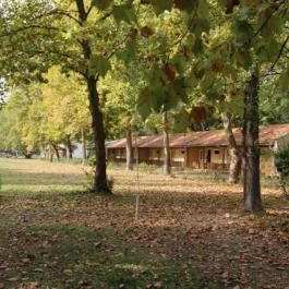 Sára Major Lovas Panzió Dömsöd - Medence/kert