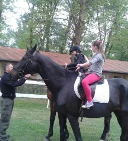 Sára Major Lovas Panzió 