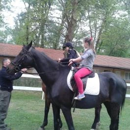 Sára Major Lovas Panzió Dömsöd - Szórakozás/Sport