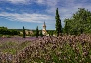 Dörgicse - Felsődörgicsei templomrom