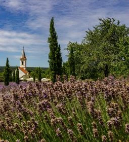 Felsődörgicsei templomrom