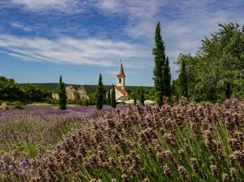 Felsődörgicsei templomrom Dörgicse
