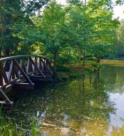 Vácrátóti Arborétum 