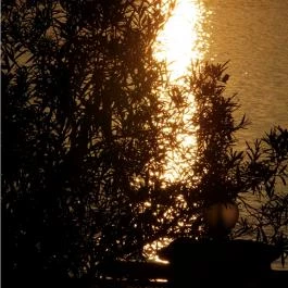 Part Café Dunakeszi - Egyéb