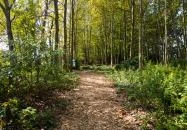 Dunakeszi - Madárlátta tanösvény