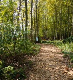 Madárlátta tanösvény