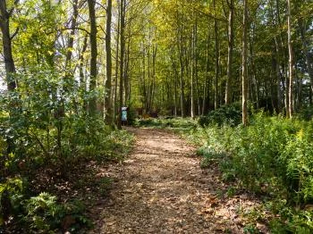 Madárlátta tanösvény Dunakeszi