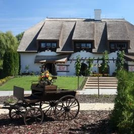 Diamant Hotel Conference, Spa & Family Resort Dunakiliti - Vendéglátás