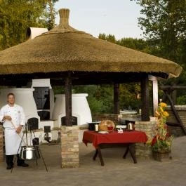 Diamant Hotel Conference, Spa & Family Resort Dunakiliti - Medence/kert