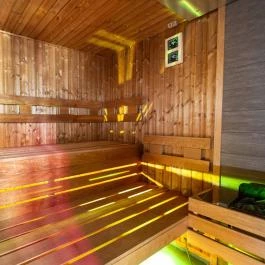 Waterfront Lodge Dunapataj - Wellness