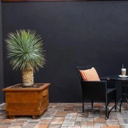 Waterfront Lodge Dunapataj - Medence/kert