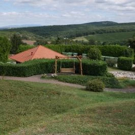 Duna Residence Dunaszentmiklós - Medence/kert