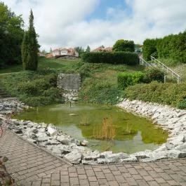 Duna Residence Dunaszentmiklós - Medence/kert