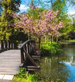 Vácrátóti Arborétum 