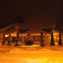 Arany Oroszlán Étterem Ebes - Egyéb