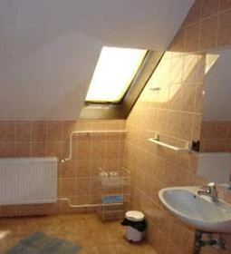 Arany Oroszlán Panzió