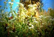 Noé Kertje Élménypark Eger