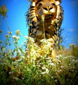 Noé Kertje Élménypark