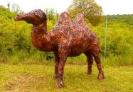 Noé Kertje Élménypark Eger