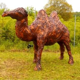 Noé Kertje Élménypark Eger - Külső kép