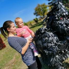 Noé Kertje Élménypark Eger - Külső kép