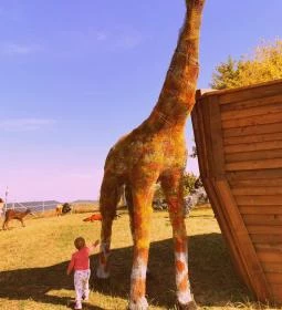 Noé Kertje Élménypark