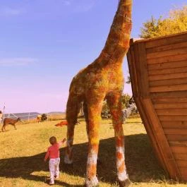 Noé Kertje Élménypark Eger - Külső kép