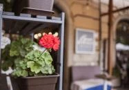 Depresso Étterem & Kávéház Eger