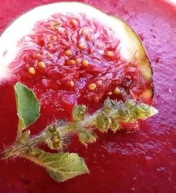 Govinda Vegetáriánus Étterem