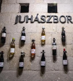 Juhász Pince 40