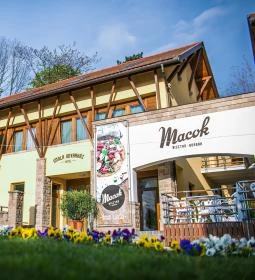 Macok Bisztró és Borbár