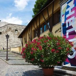 Macok Bisztró és Borbár Eger - Egyéb