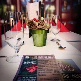 Aqua Villa étterme Eger - Egyéb